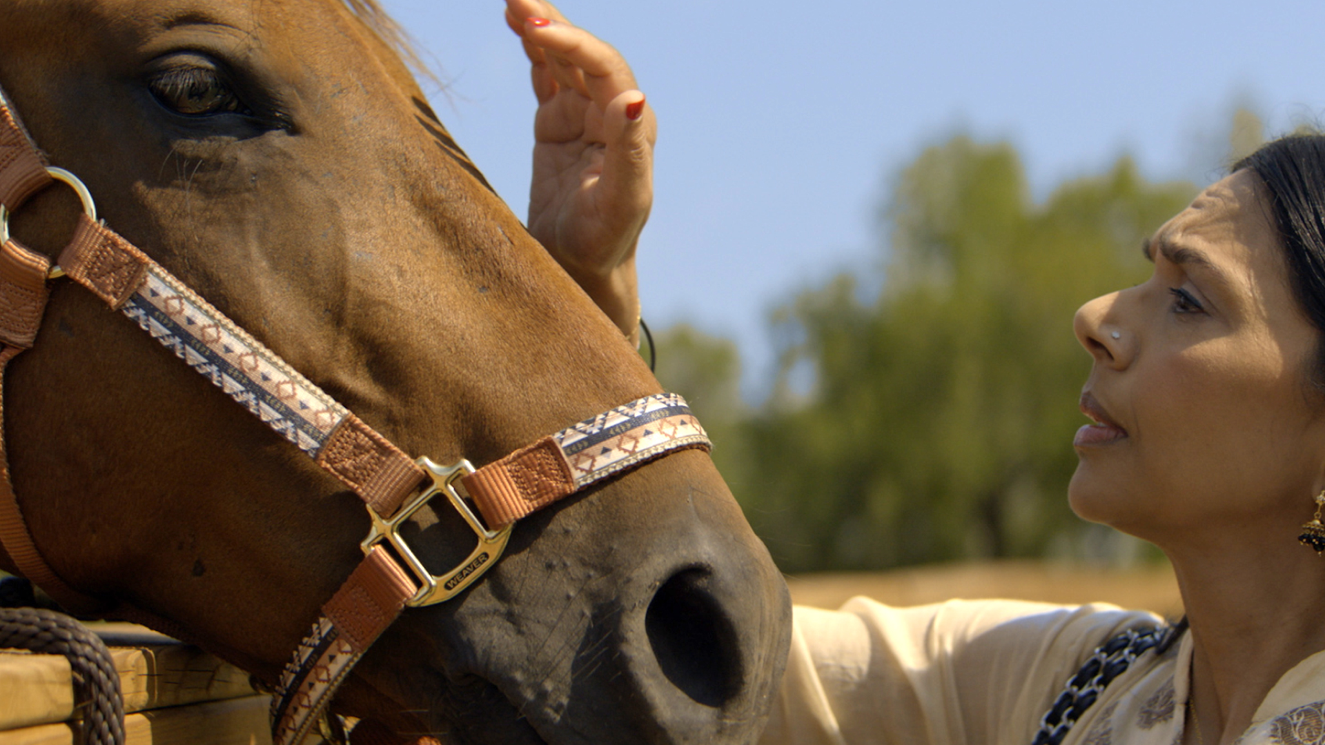 Cowboys and Hindus — still