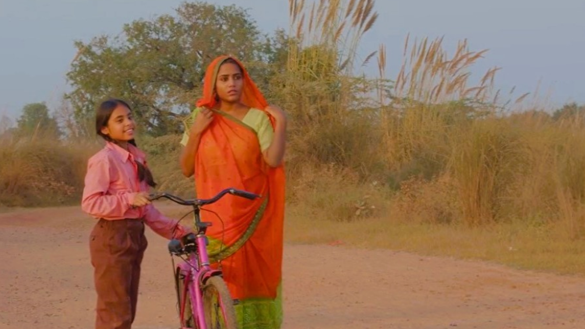 Ek Se Anek (The Lady Bird) — still