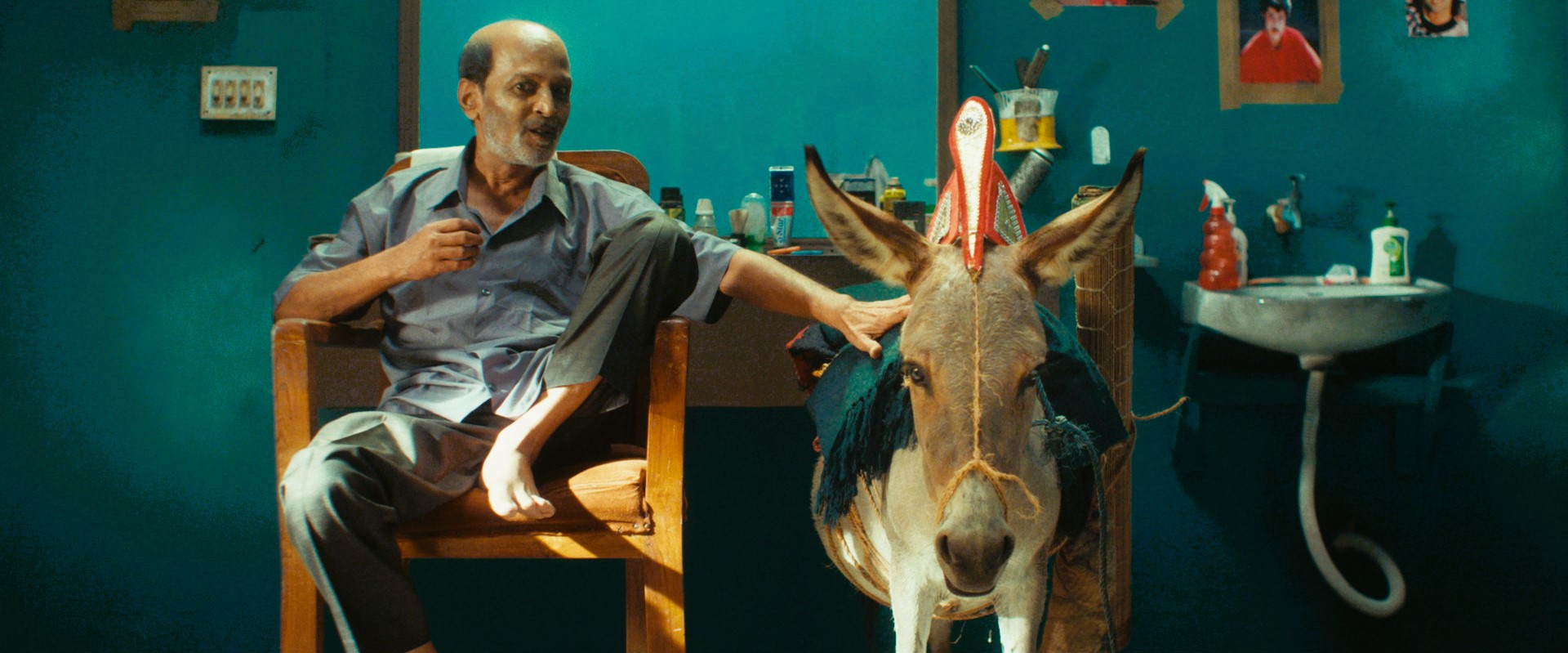 Mur Ghurar Duronto Goti (The Horse From Heaven) — still